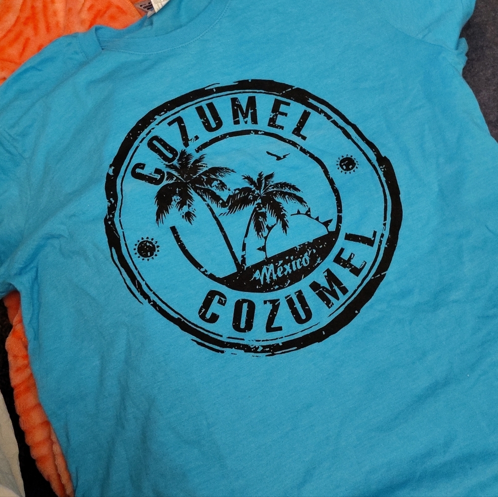 Cozumel Graphic Tee in Blue